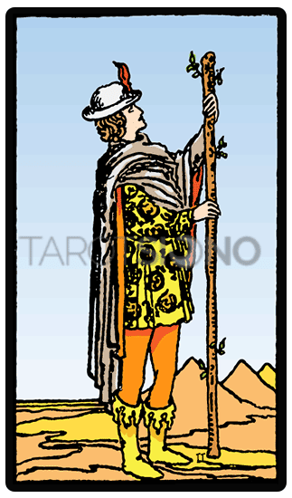 Sota de Bastos Tarot